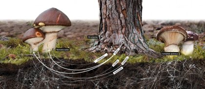 visuel-alliances-hd-cmyk-1800x982-site.jpg -