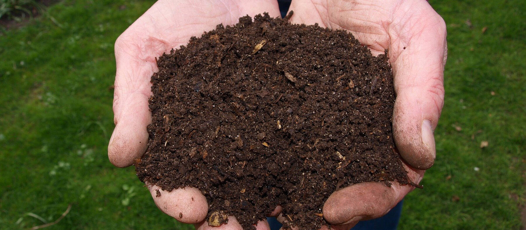 fresh-2386786-1920.jpg -